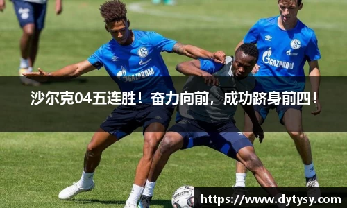 芒果体育官网入口